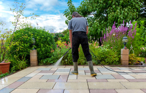 Best Sidewalk and Walkway Cleaning  in Swansboro, NC